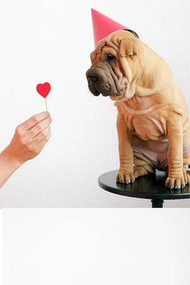 Special Desserts For Your Furry Valentine