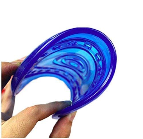 Pets Friend Pets Frisbee