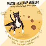 Vivaldis Bark Out Loud Chicken Swirls Treats For Dogs