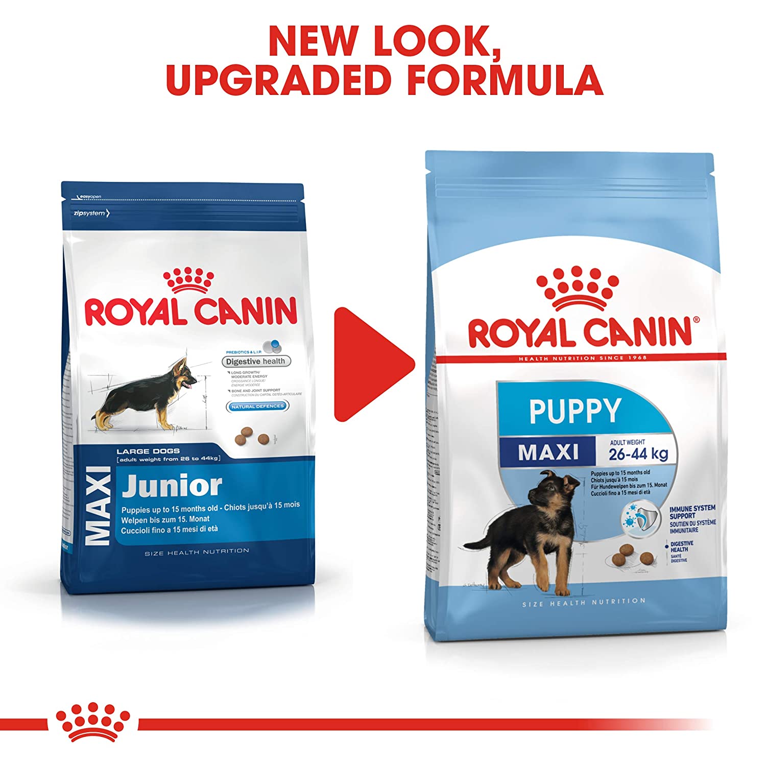 Royal Canin Maxi Puppy Dry Food
