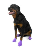 Pawz Waterproof Dog Boots - Large - Purple 12 PCS