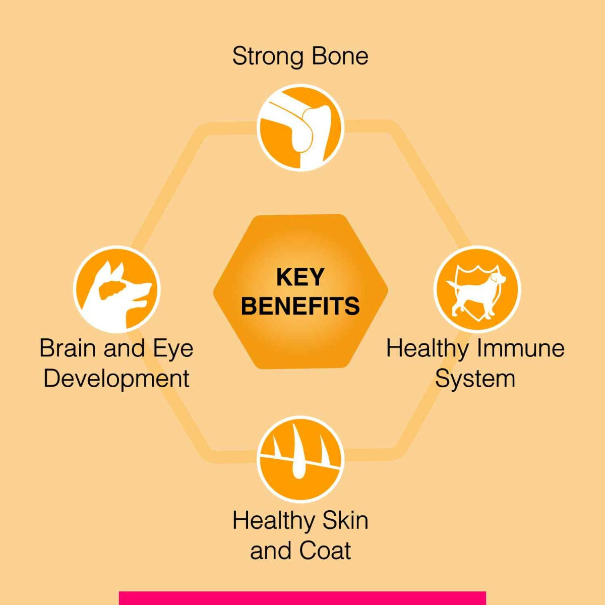 Canine Creek Grain Free Ultra Premium Puppy Dry Food