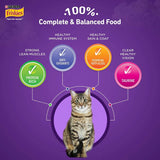 Friskies Surfin Favourities Adult Cat Dry Food