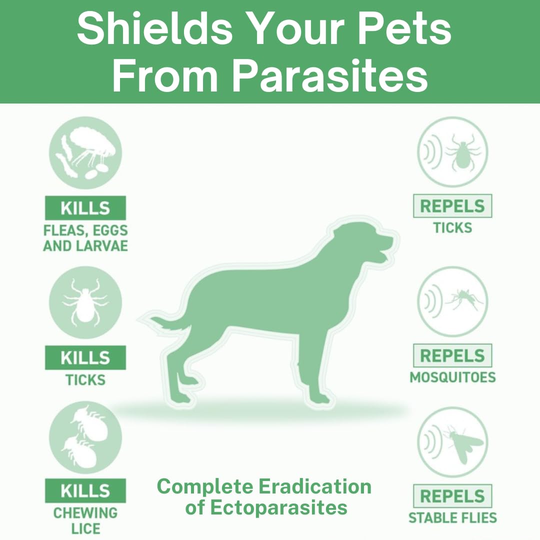 Veko Radicate Spot-On Solution for Dogs (10–20 kg)