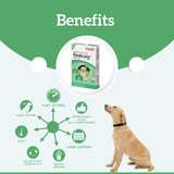 Veko Radicate Spot-On Solution for Dogs (10–20 kg)
