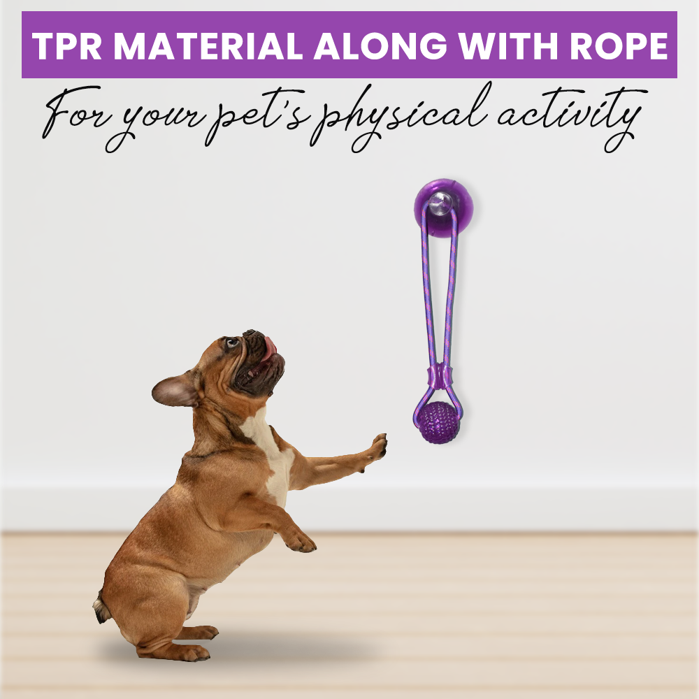 Basil Vacuum Suction Cup With Rope And Chew Ball Dog Toy