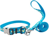Holy Paws Glow n The Dark Leash & Collar (Color May Vary)