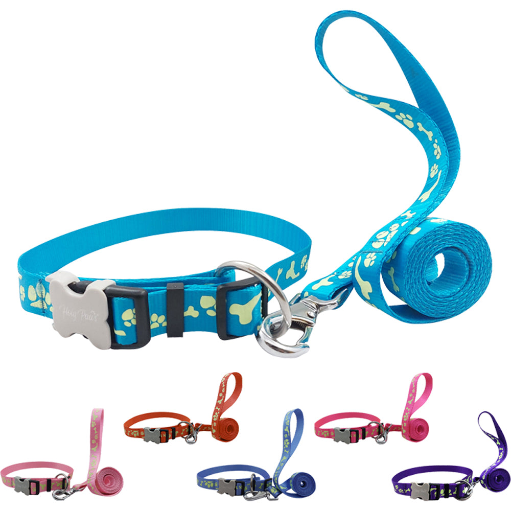 Holy Paws Glow n The Dark Leash & Collar (Color May Vary)