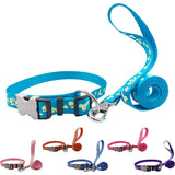 Holy Paws Glow n The Dark Leash & Collar (Color May Vary)