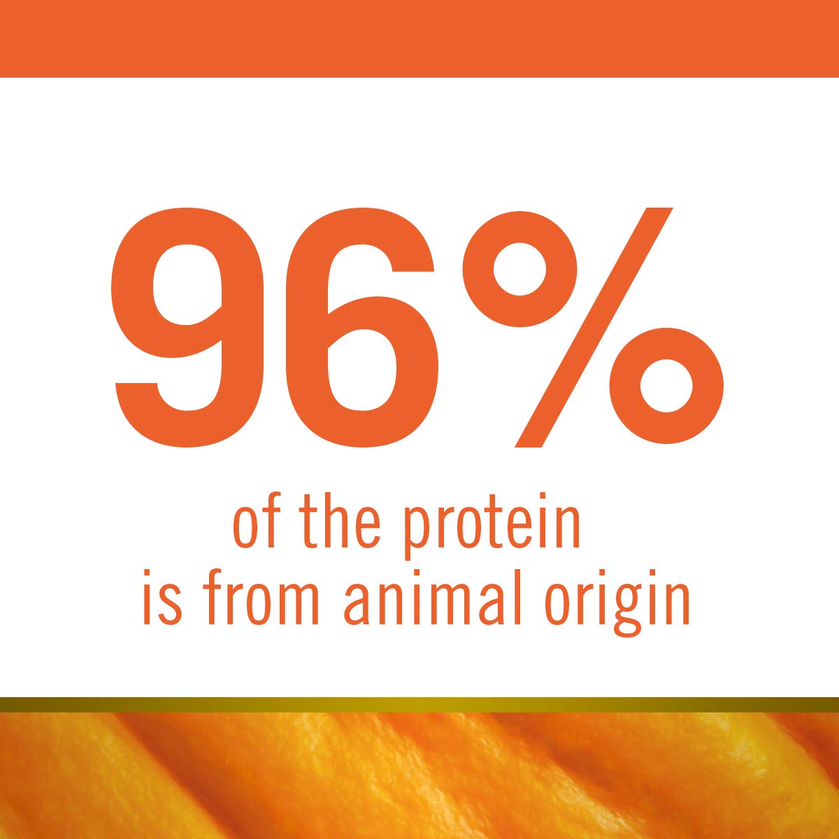 Farmina N&D Pumpkin Lamb Pumpkin And Blueberry Grain Free Medium And Maxi Adult Dog Dry Food