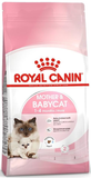Royal Canin Mother & Baby Adult Cat Dry Food