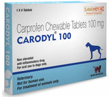 Savavet Carodyl 100 mg – Carprofen Chewable Tablets for Dogs