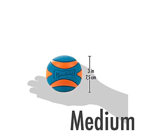 Chuckit Ultra Squeaker Ball Toy For Dogs
