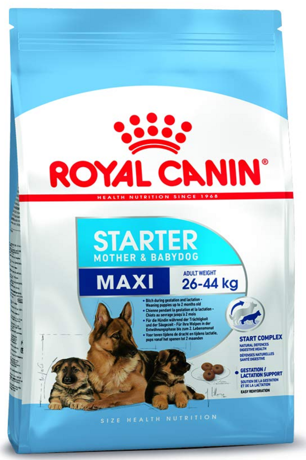 Royal Canin Maxi Starter Dog Dry Food