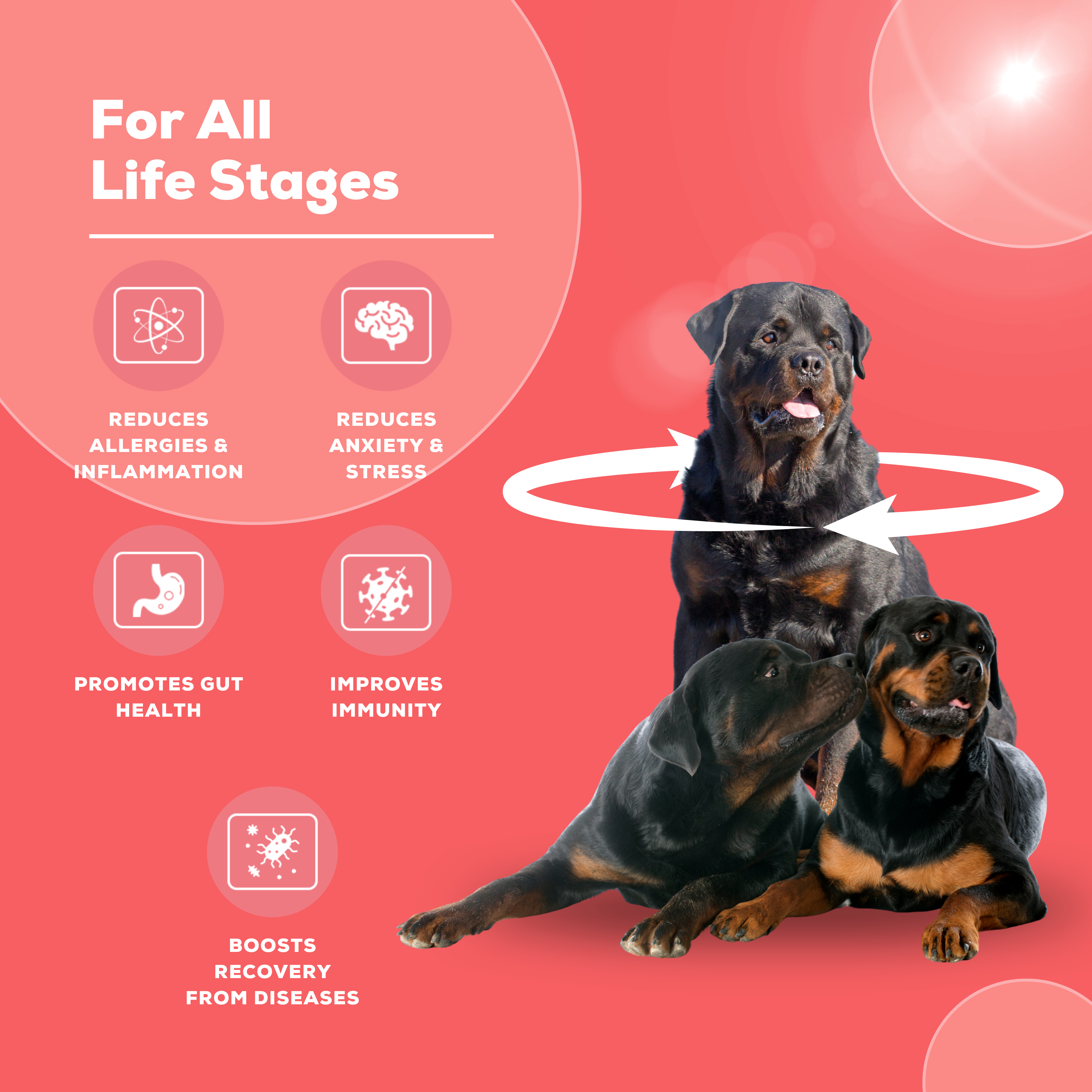 Venttura Immuno+ Liquid – Colostrum-Based Immunity Booster & Calming Formula