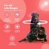 Venttura Immuno+ Liquid – Colostrum-Based Immunity Booster & Calming Formula