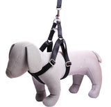 Kennel Foam Padded Soft Nylon Adjustable Harness ( 1 1/4")