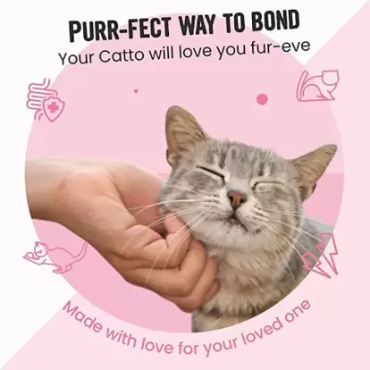 Vivaldis Bark Out Soft Sensitive Gut Cat Pillows Spanish Treats For Cats