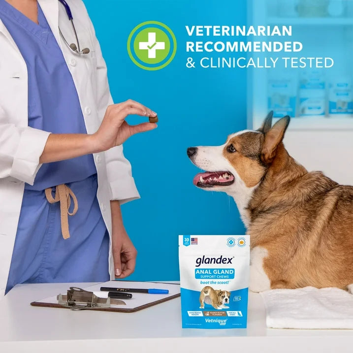 Glandex : Anal Gland Support Chews – Peanut Butter Flavor for Dogs