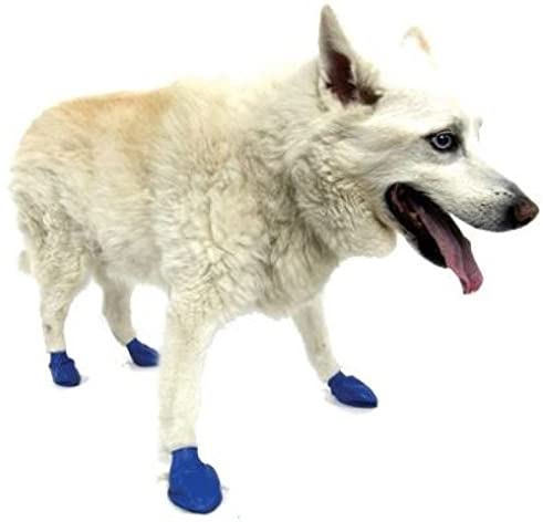 Pawz Waterproof Dog Boots - Large - Purple