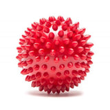 Smarty Pet Rubber Spike Ball