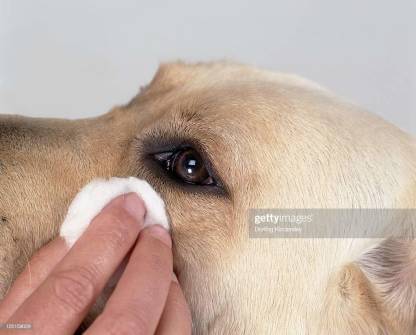 M-Pets Cleaning Sensitive Wipes For Dog