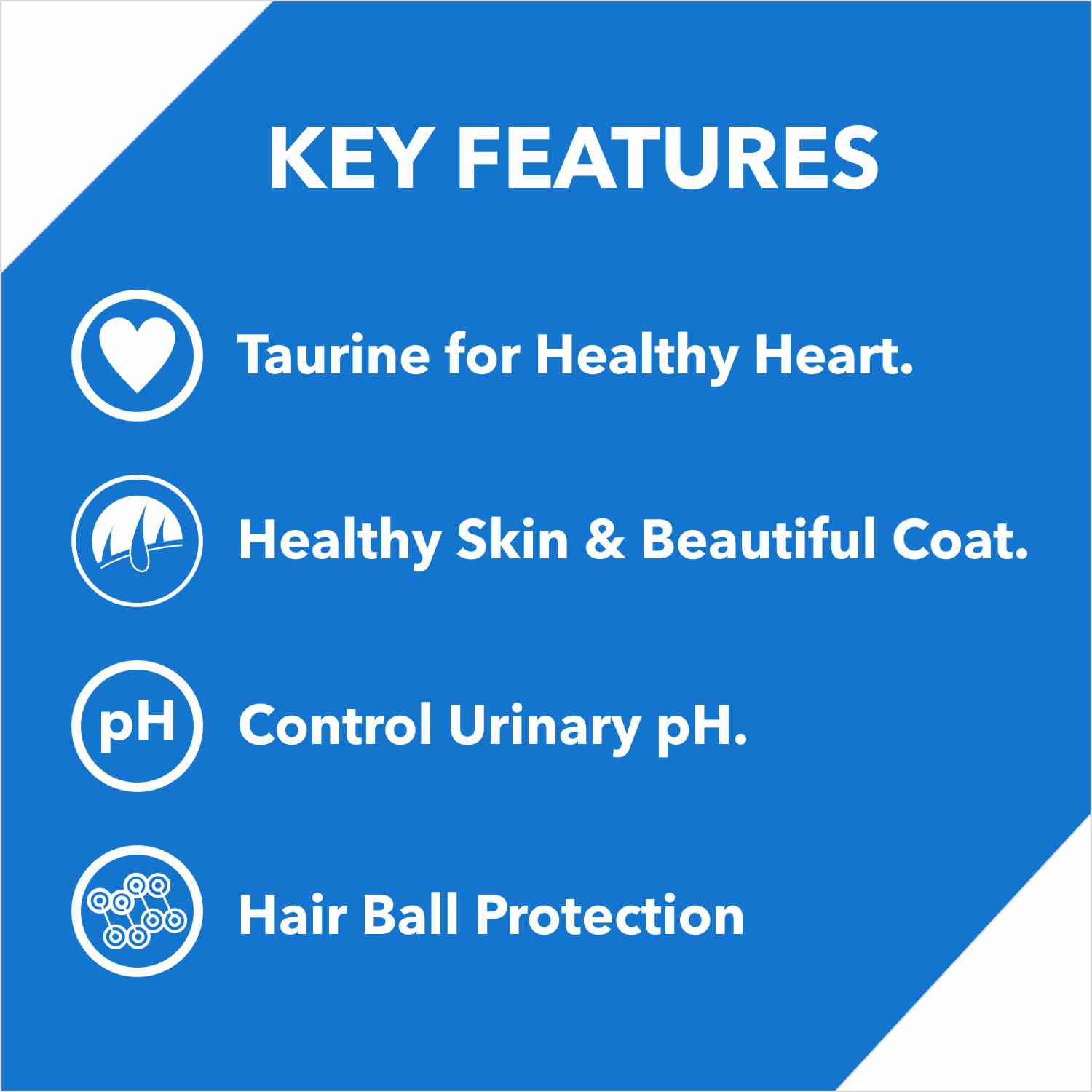 Drools Cat - Kitten Ocean Fish