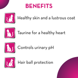 Maxi Ocean Fish Adult Cat Dry Food