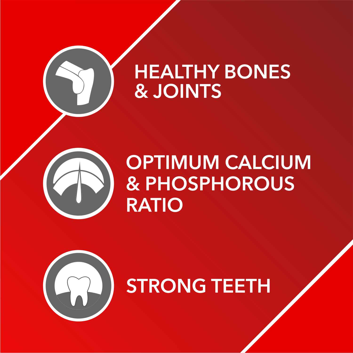 Drools Absolute Calcium Chewable Tablet for Pets