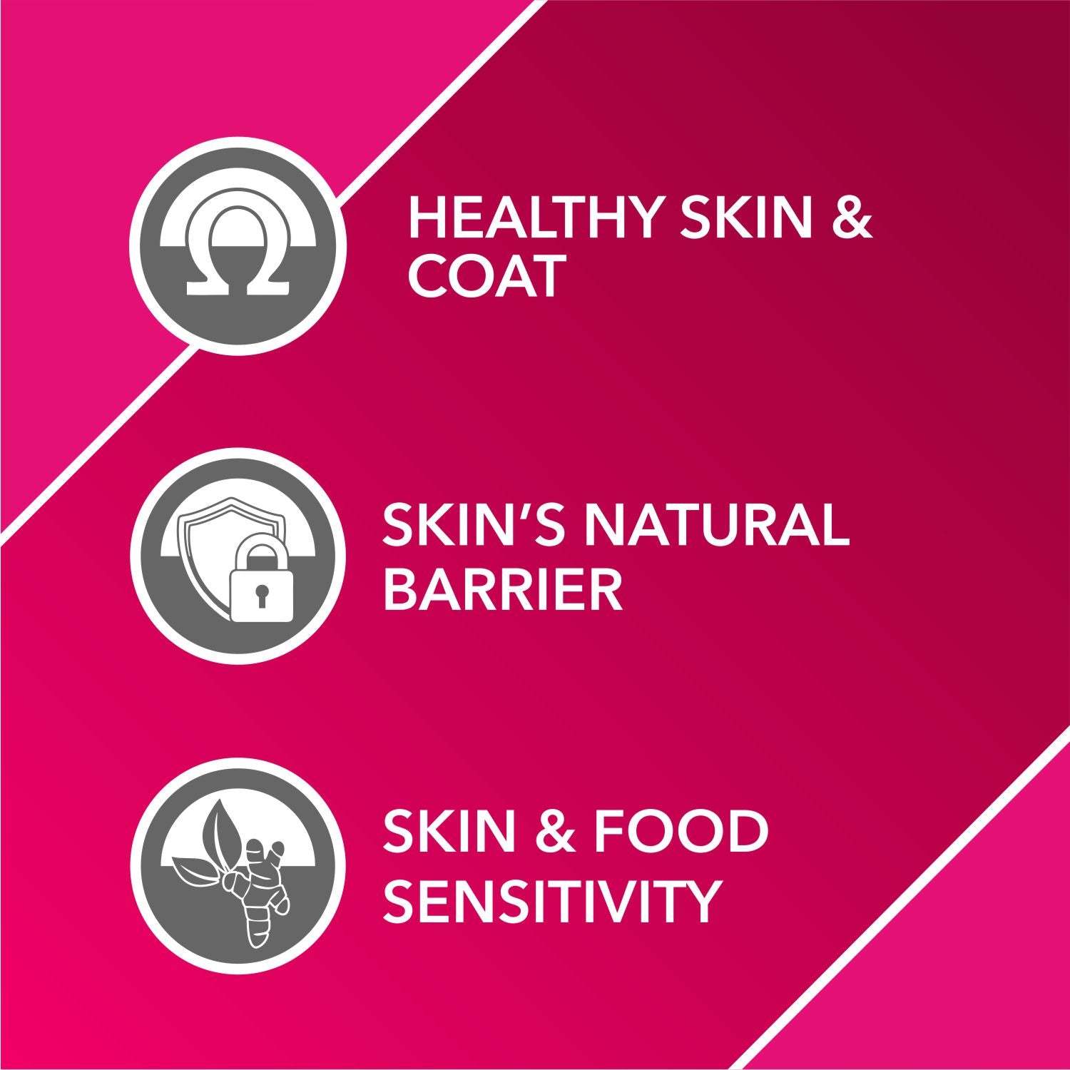 Drools Absolute Skin+ Coat Chewable Tablets