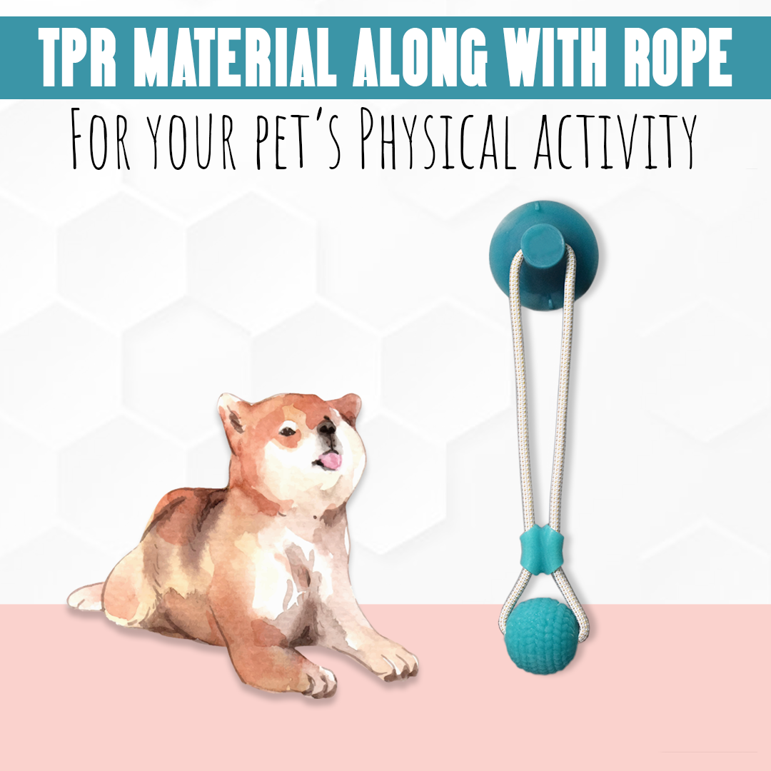 Basil Vacuum Suction Cup With Rope And Chew Ball Dog Toy