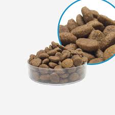 Reflex Plus Choosy Salmon Flavour Adult Cat Food
