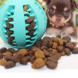 Trixie Spielzeug Denta Fun Natural Rubber Mint Flavour Ball