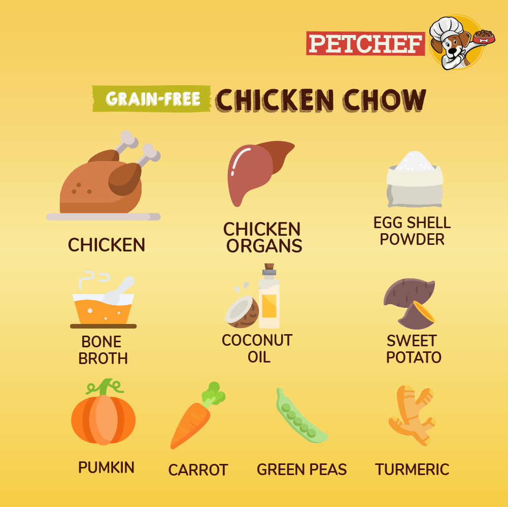 Petchef Grain Free Chow Bone Broth