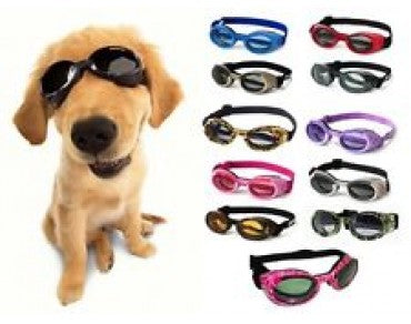 Puppy Love Dog Goggles