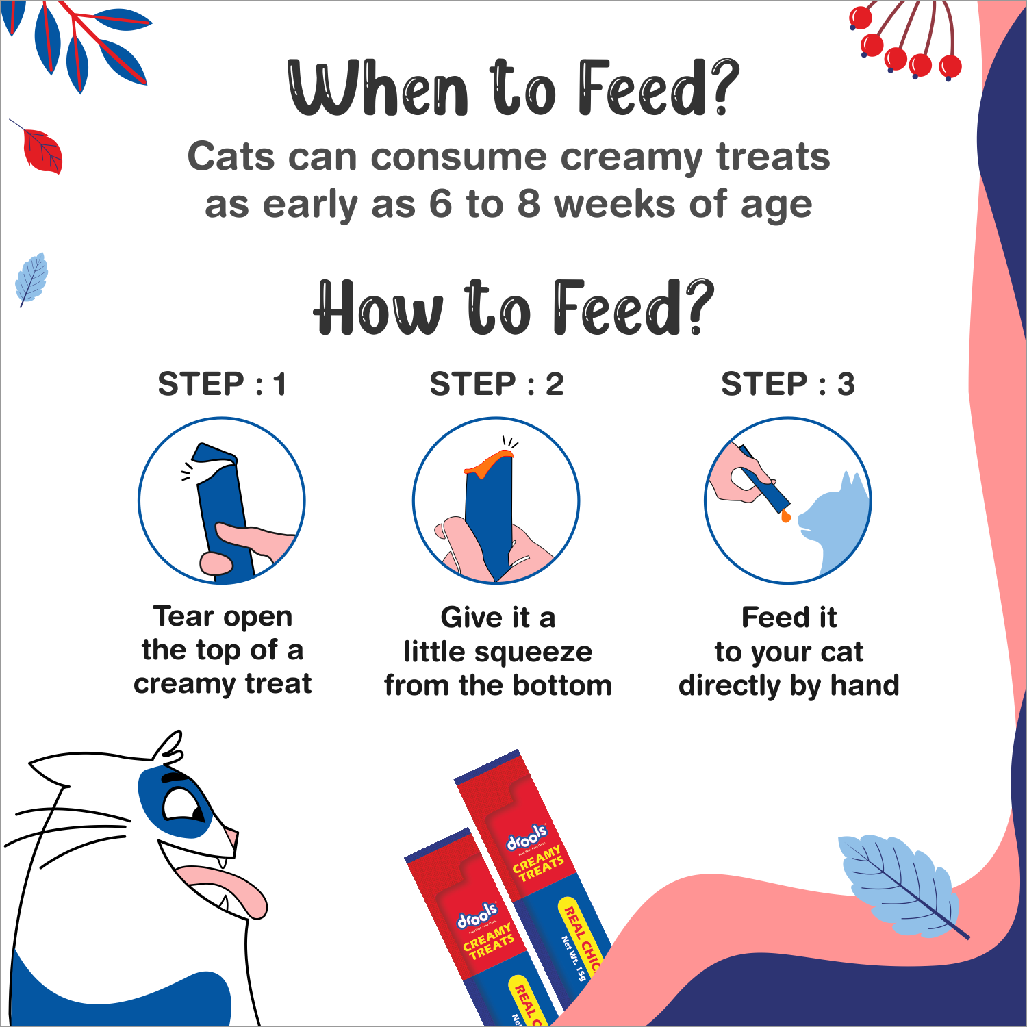 Drools Real Chicken Creamy Cat Treat Jar