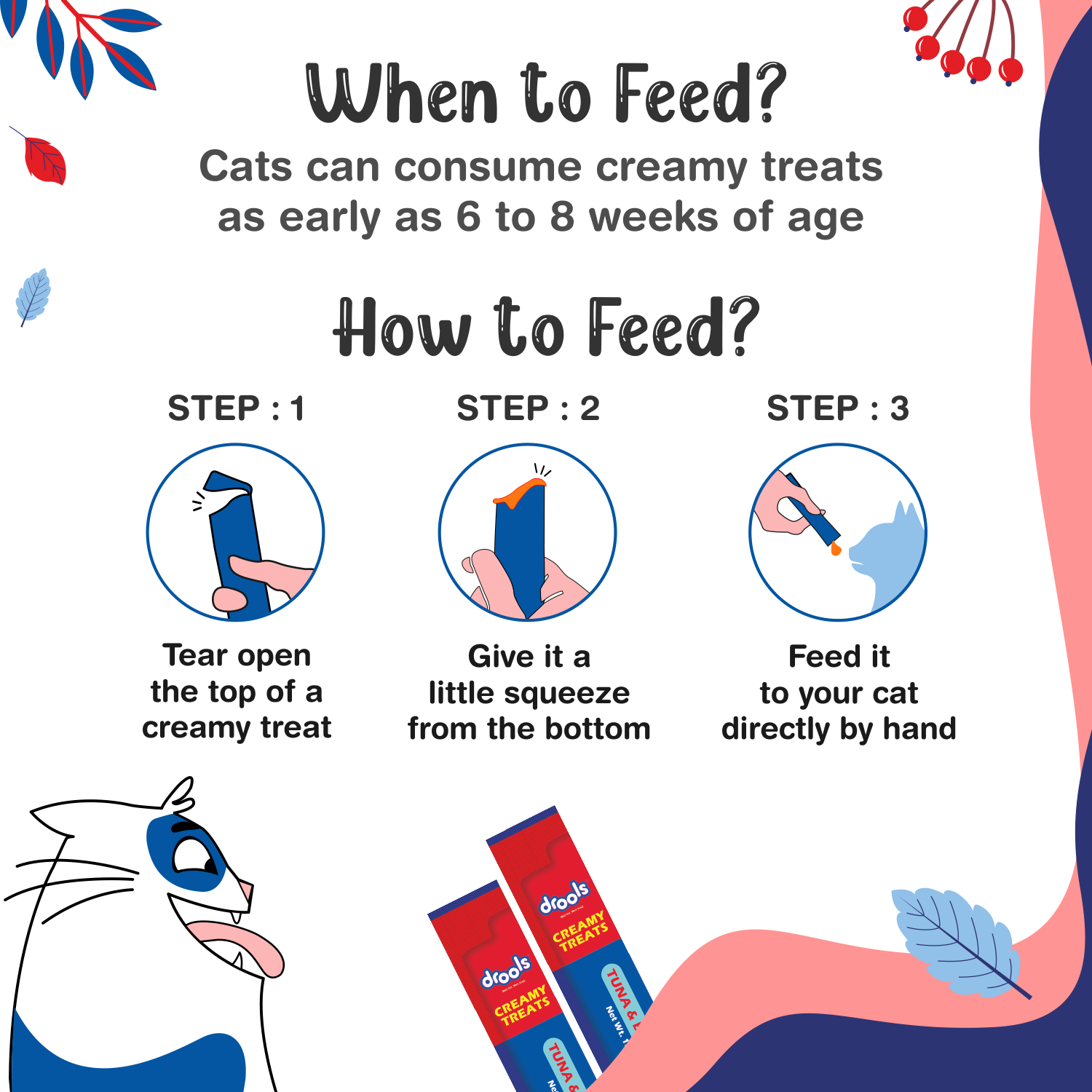 Drools Tuna & Bonito Creamy Cat Treat Jar