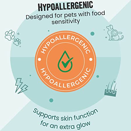 Vivaldis Bark Out Loud Grain Free Mini Fishes Dog Treat