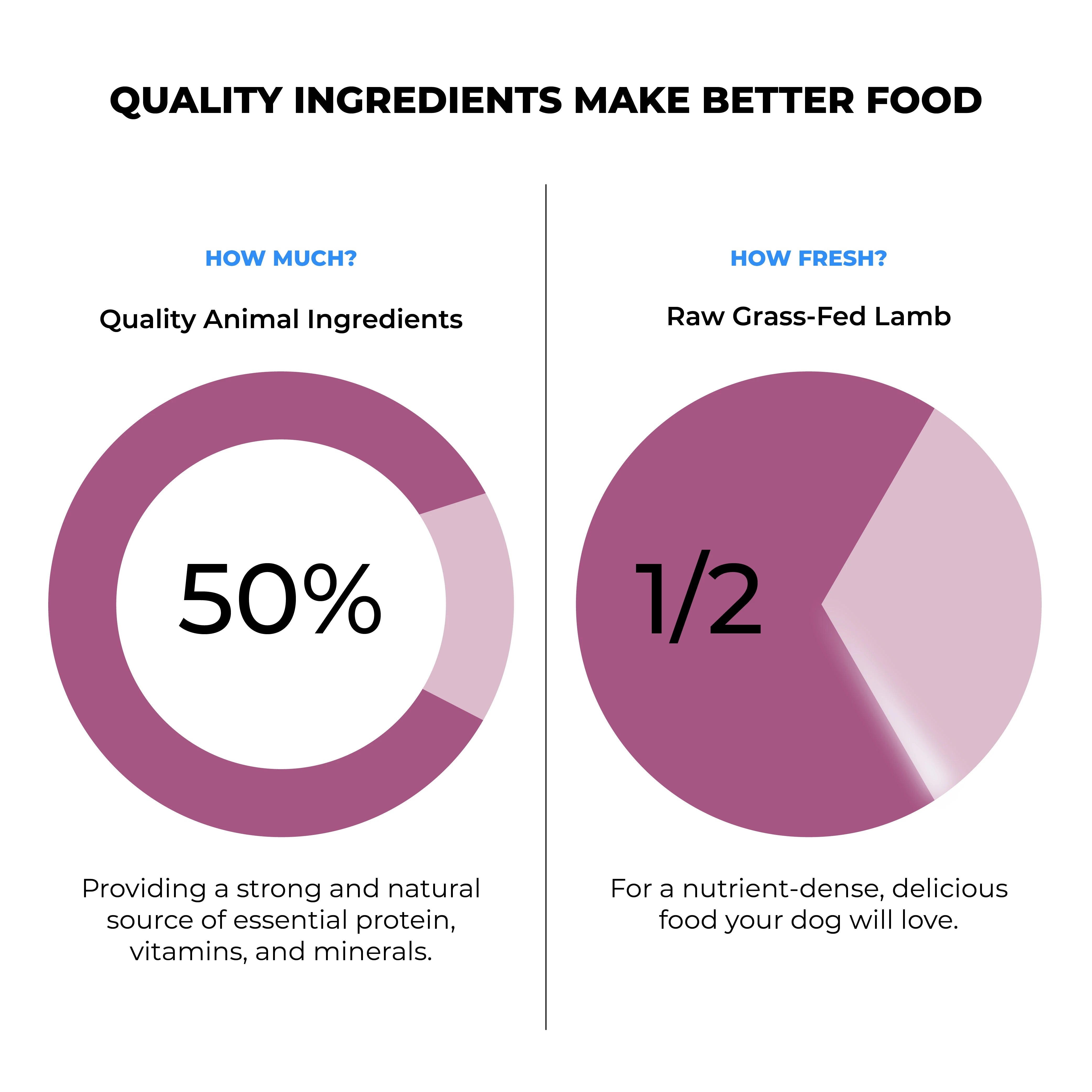 Acana Grass-Fed Lamb Dog Dry Food