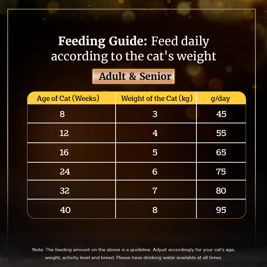 Sheba Chicken Flavour All Life Stages Cat Dry Food