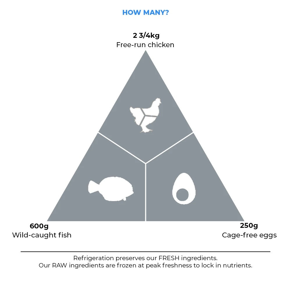 Acana Adult Small Breed Dog Dry Food