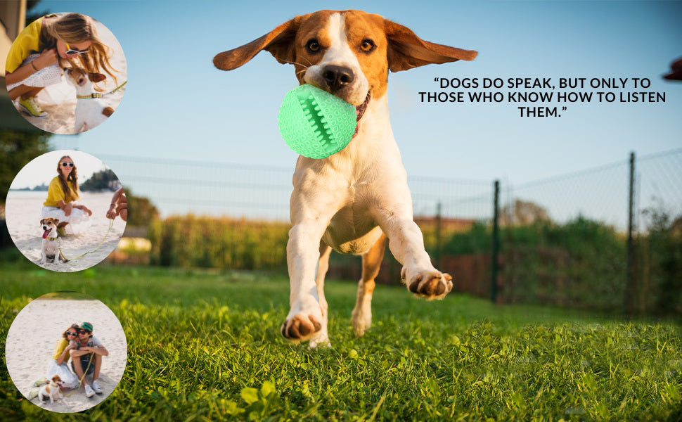 Basil Solid Ball with Hollow Centre & Grooves in Sides Dog Toys