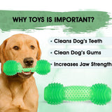 Basil Dumbbell Toy with Hollow Centre Toy For Dog - Green
