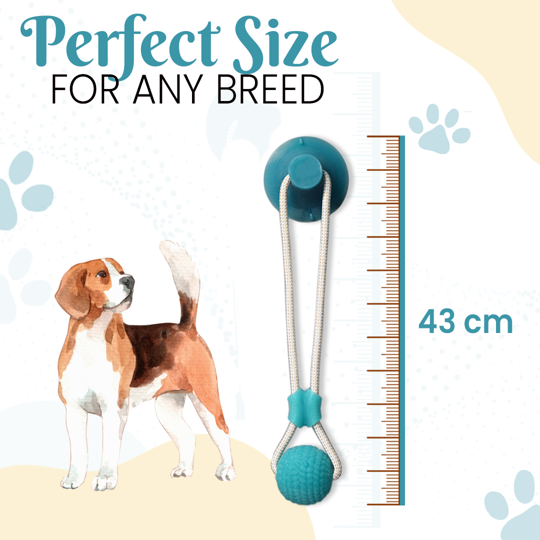 Basil Vacuum Suction Cup With Rope And Chew Ball Dog Toy