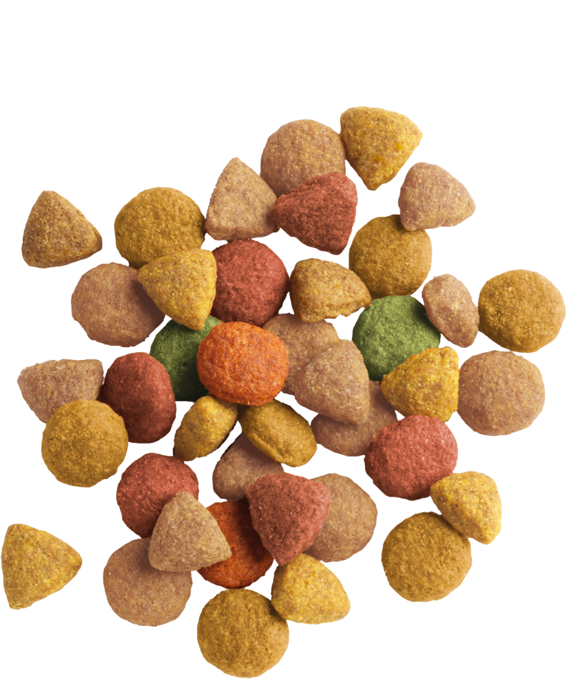 Versele-Laga Lara Adult With Turkey And Chicken Cat Food