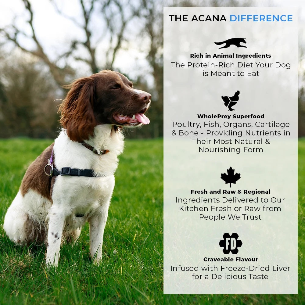 Acana Puppy Large Breed Dog Dry Food