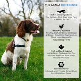 Acana Puppy Large Breed Dog Dry Food
