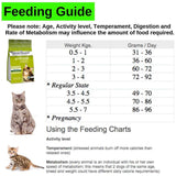 Arden Grange Cat - Fresh Chicken And Potato