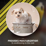 Wahl Absolute Purple Gallon Dog Shampoo