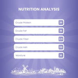 Cat Fest Pillows With Crab Creme Cat Treat